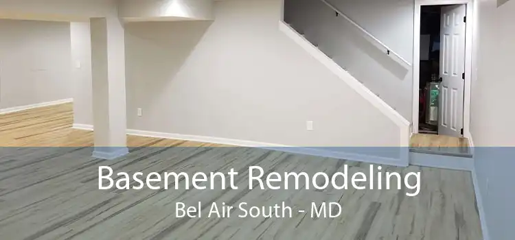 Basement Remodeling Bel Air South - MD