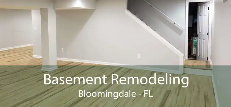 Basement Remodeling Bloomingdale - FL