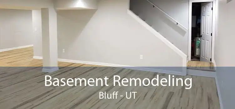 Basement Remodeling Bluff - UT