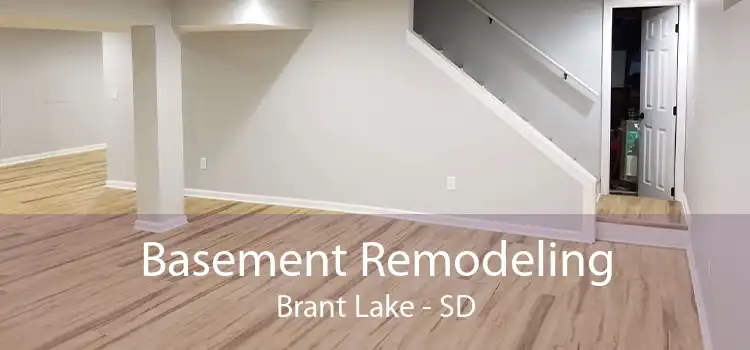 Basement Remodeling Brant Lake - SD