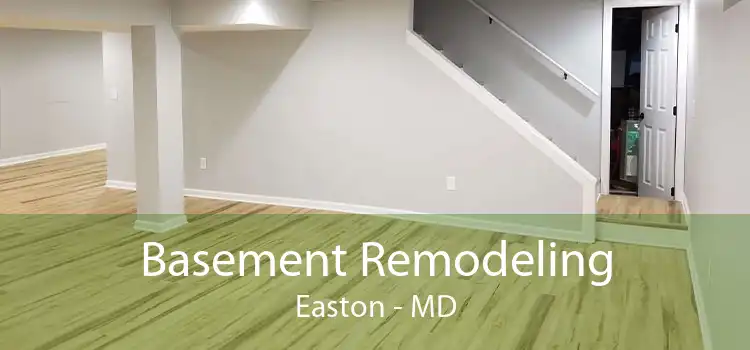 Basement Remodeling Easton - MD
