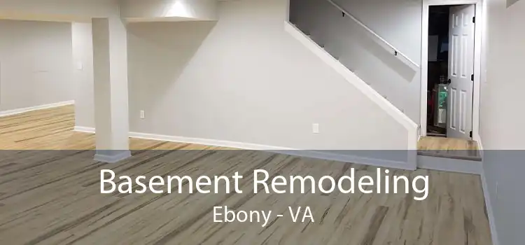 Basement Remodeling Ebony - VA