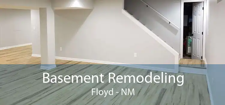 Basement Remodeling Floyd - NM
