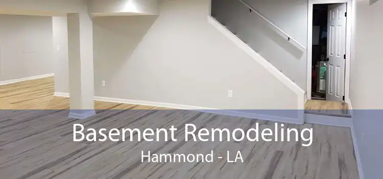 Basement Remodeling Hammond - LA