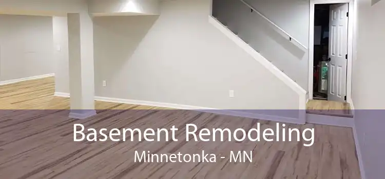 Basement Remodeling Minnetonka - MN