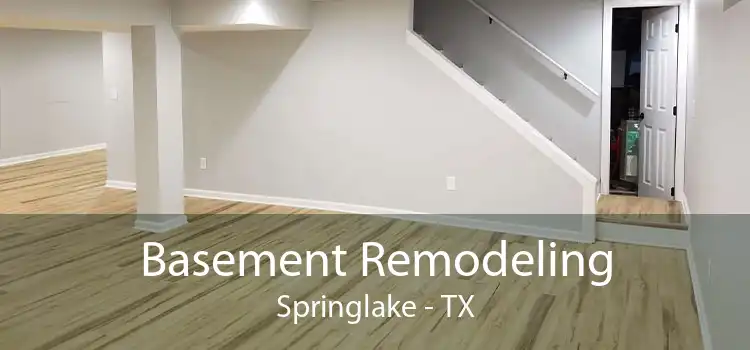 Basement Remodeling Springlake - TX