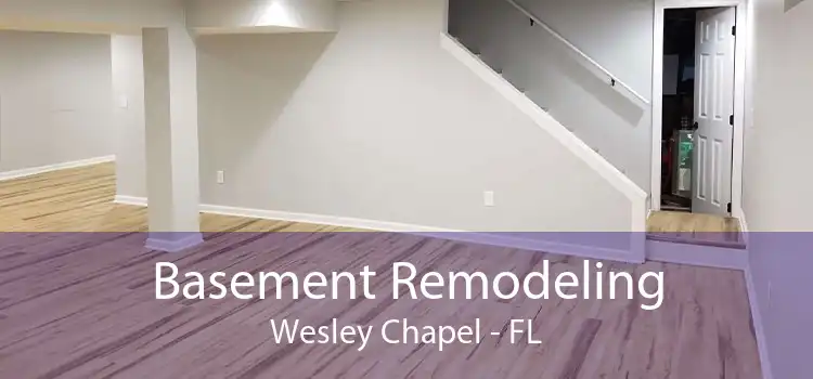 Basement Remodeling Wesley Chapel - FL