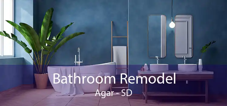 Bathroom Remodel Agar - SD