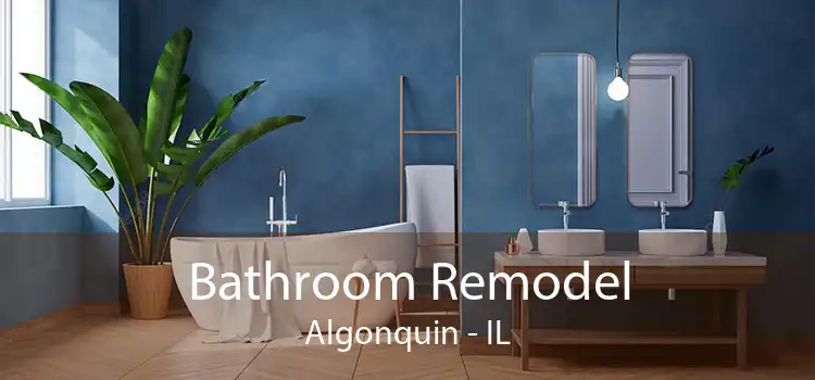 Bathroom Remodel Algonquin - IL