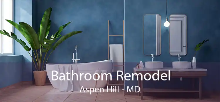 Bathroom Remodel Aspen Hill - MD