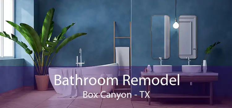 Bathroom Remodel Box Canyon - TX