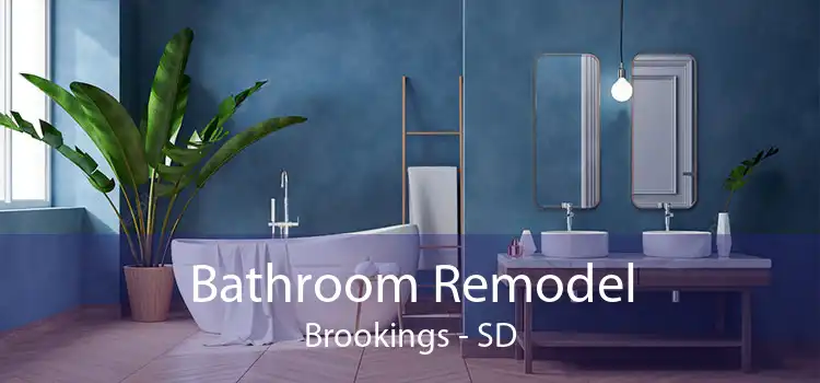Bathroom Remodel Brookings - SD