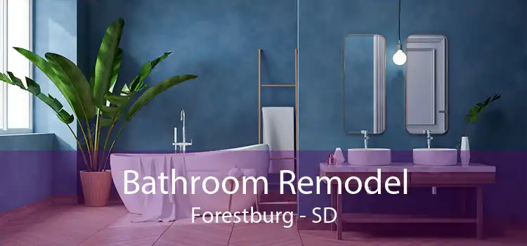 Bathroom Remodel Forestburg - SD