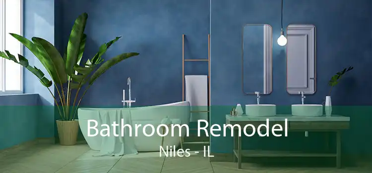 Bathroom Remodel Niles - IL