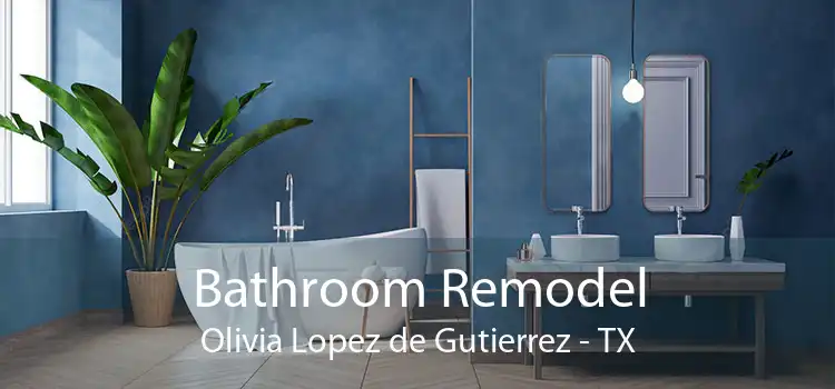 Bathroom Remodel Olivia Lopez de Gutierrez - TX