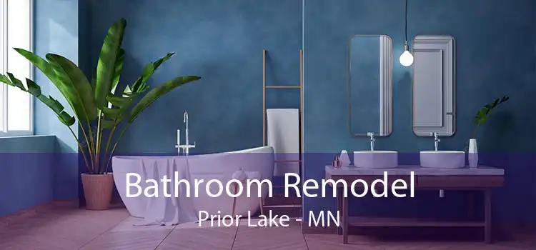 Bathroom Remodel Prior Lake - MN