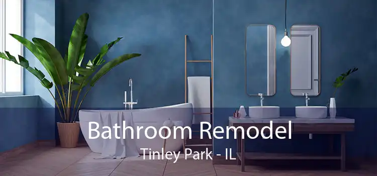 Bathroom Remodel Tinley Park - IL