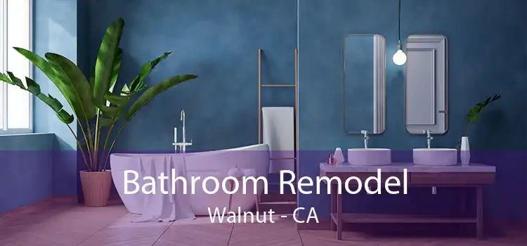 Bathroom Remodel Walnut - CA