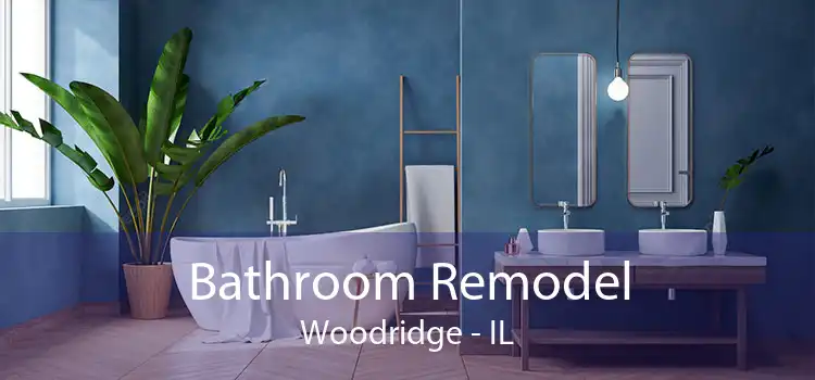 Bathroom Remodel Woodridge - IL