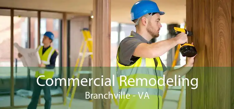 Commercial Remodeling Branchville - VA