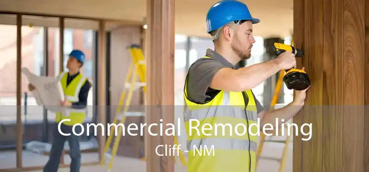 Commercial Remodeling Cliff - NM