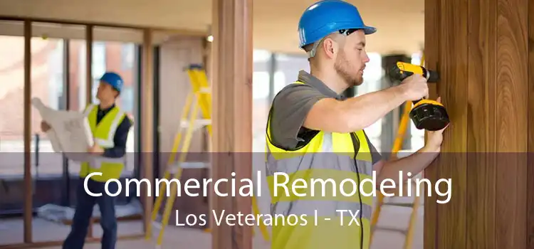 Commercial Remodeling Los Veteranos I - TX
