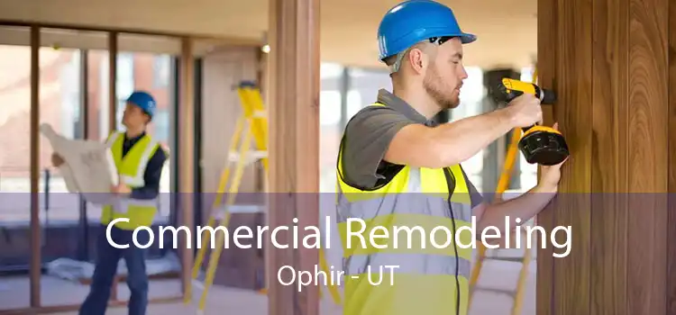 Commercial Remodeling Ophir - UT
