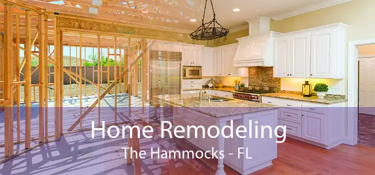 Home Remodeling The Hammocks - FL