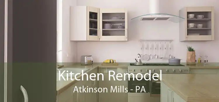 Kitchen Remodel Atkinson Mills - PA