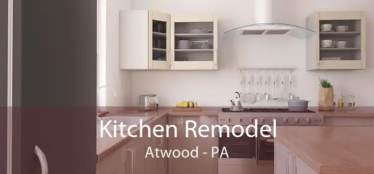 Kitchen Remodel Atwood - PA
