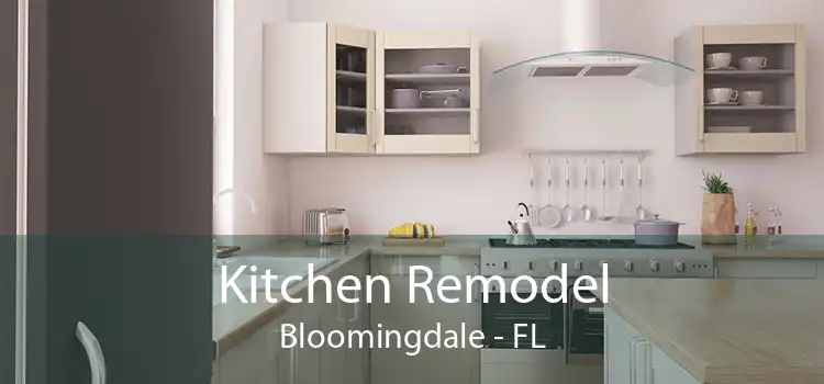 Kitchen Remodel Bloomingdale - FL