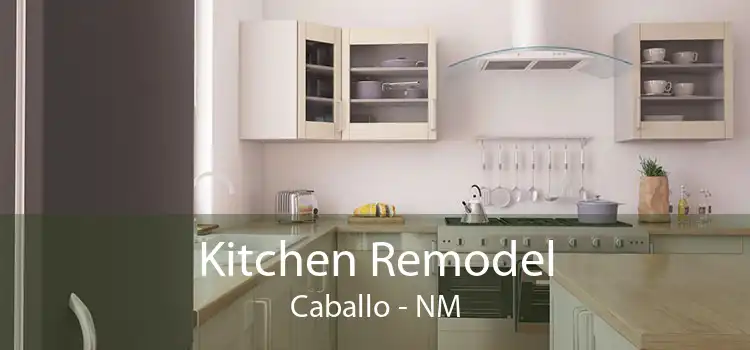 Kitchen Remodel Caballo - NM