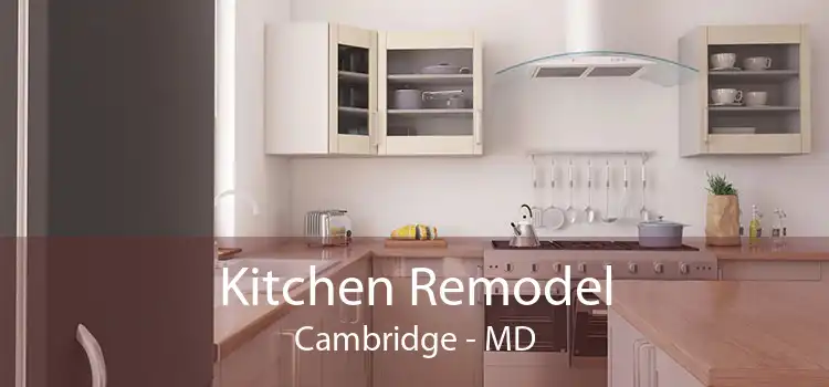 Kitchen Remodel Cambridge - MD