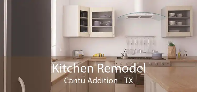 Kitchen Remodel Cantu Addition - TX