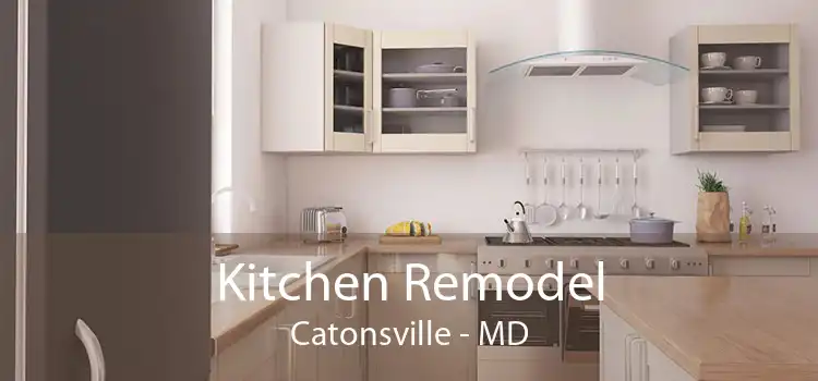 Kitchen Remodel Catonsville - MD
