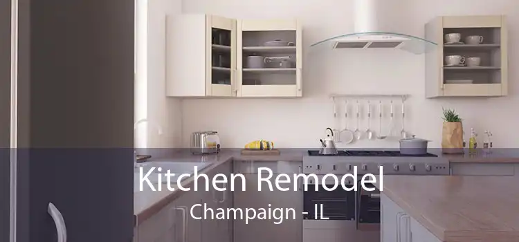 Kitchen Remodel Champaign - IL