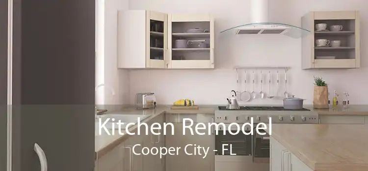 Kitchen Remodel Cooper City - FL