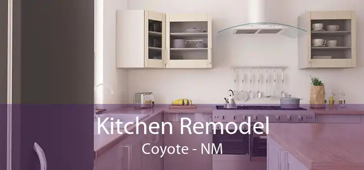Kitchen Remodel Coyote - NM
