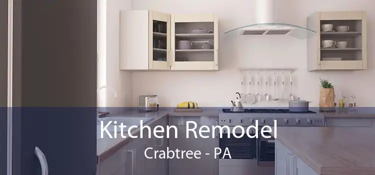 Kitchen Remodel Crabtree - PA