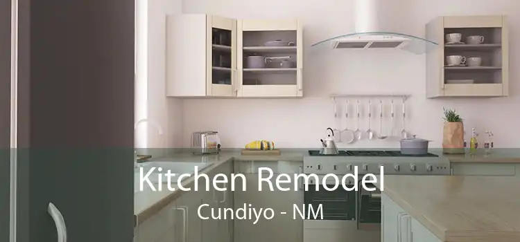 Kitchen Remodel Cundiyo - NM
