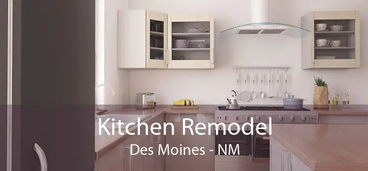Kitchen Remodel Des Moines - NM