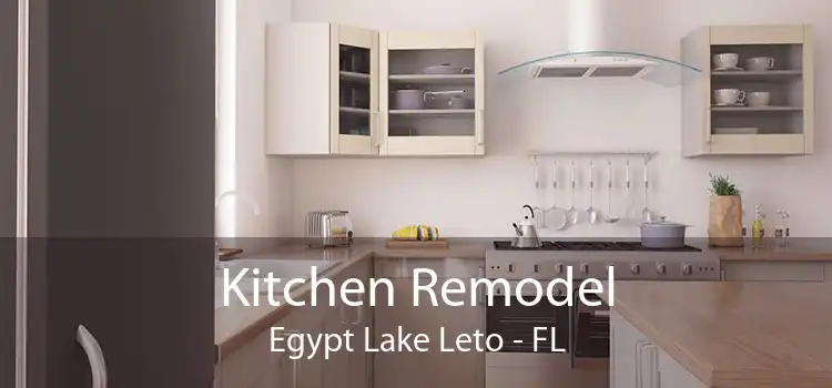 Kitchen Remodel Egypt Lake Leto - FL