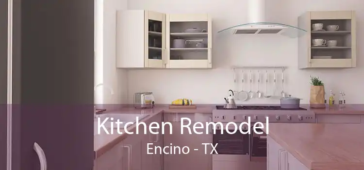 Kitchen Remodel Encino - TX