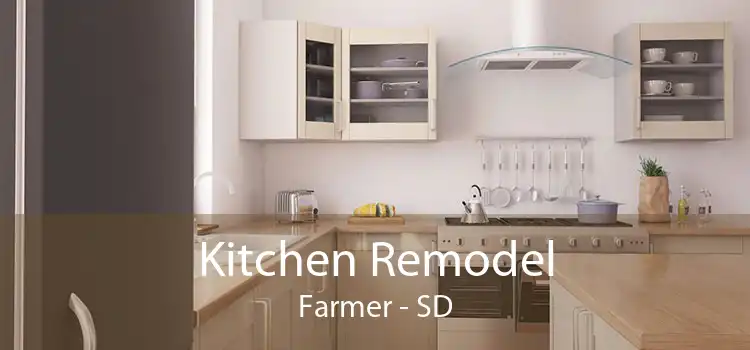 Kitchen Remodel Farmer - SD