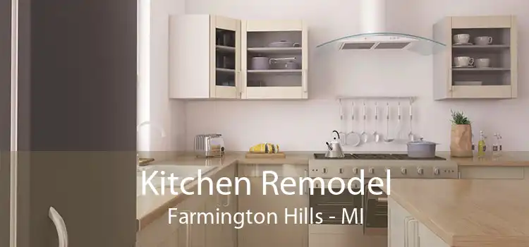 Kitchen Remodel Farmington Hills - MI