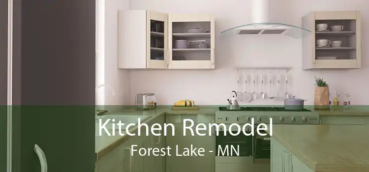 Kitchen Remodel Forest Lake - MN