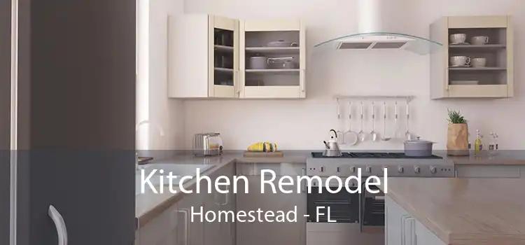 Kitchen Remodel Homestead - FL