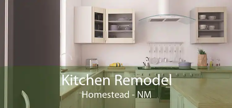 Kitchen Remodel Homestead - NM