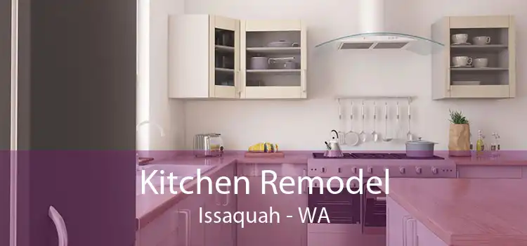 Kitchen Remodel Issaquah - WA