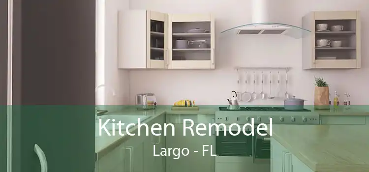 Kitchen Remodel Largo - FL